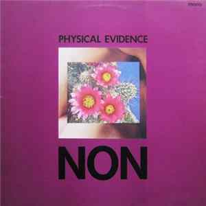 NON - Physical Evidence mp3