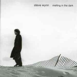 Steve Wynn - Melting In The Dark mp3
