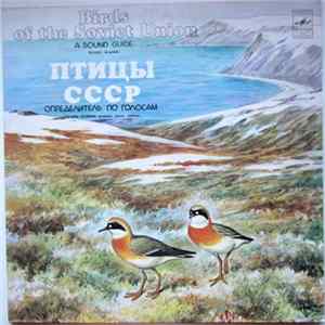 No Artist - Гагары. Кулики: Pжaнки, Зyйки, Чибиcы = Divers. Waders mp3