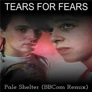Tears For Fears - Pale Shelter (BBCom Remix) mp3
