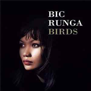 Bic Runga - Birds mp3