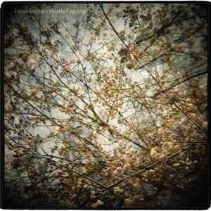 Horse Feathers - Thistled Spring mp3