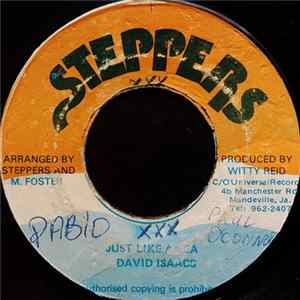 David Isaacs - Just Like A Sea mp3