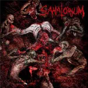 Sanatorium - Celebration Of Exhumation / Internal Womb Cannibalism mp3