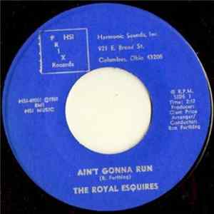 The Royal Esquires - Ain't Gonna Run mp3
