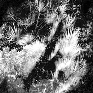 Edanticonf - Per Aspera Ad Astra mp3
