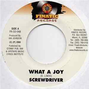 Screwdriver - What A Joy mp3
