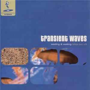 Transient Waves - Wading & Waiting (Bliss Out V.8) mp3