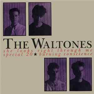 The Waltones - She Looks Right Through Me mp3