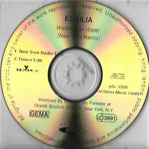 Edsilia - Walking On Water (New York Remix) mp3