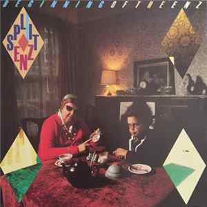 Split Enz - Beginning Of The Enz mp3