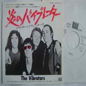 The Vibrators - We Vibrate mp3