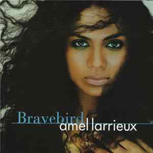 Amel Larrieux - Bravebird mp3