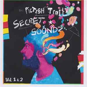 The Pictish Trail - Secret Soundz Vol. 1 & 2 mp3