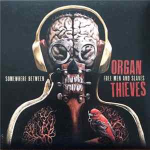 Organ Thieves - Somewhere Between Free Men And Slaves mp3