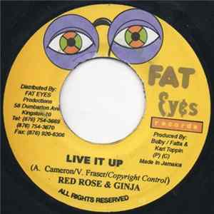 Red Rose & Ginja - Live It Up mp3