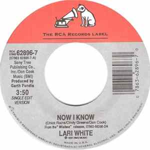 Lari White - Now I Know mp3
