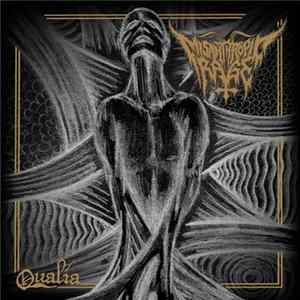 Misanthropic Rage - Qualia mp3