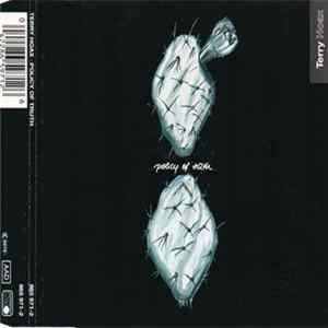 Terry Hoax - Policy Of Truth mp3