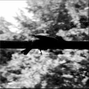 MSC - I Close My Mind And Lock It, Vol. 1 & 2 mp3