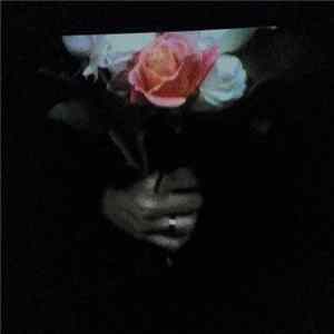 Paper Dollhouse - Aeonflower mp3