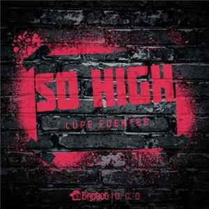 Lupe Fuentes - So High mp3