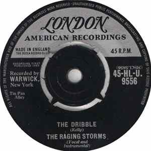 The Raging Storms - The Dribble (Twist) mp3