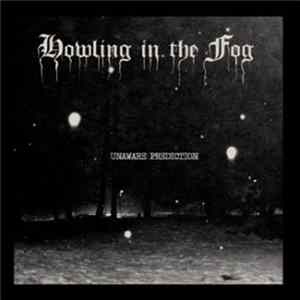 Howling In The Fog - Unaware Prediction mp3