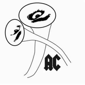 Alessandro Crimi - Afterhüttn (Remixes) mp3