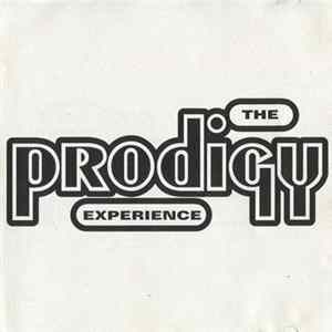 The Prodigy - Experience mp3
