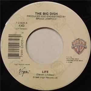 The Big Dish - Life mp3