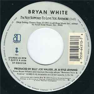 Bryan White - I'm Not Supposed To Love You Anymore mp3