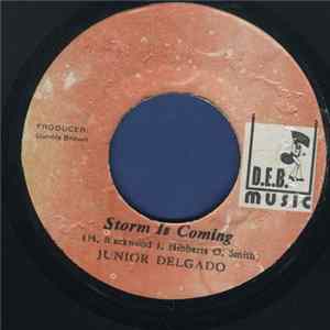 Junior Delgado - Storm Is Coming mp3