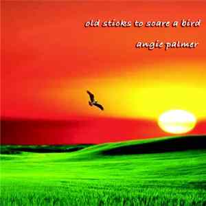 Angie Palmer - Old Sticks To Scare A Bird mp3