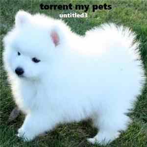 torrent my pets - untitled3 mp3
