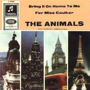 The Animals - Bring It On Home To Me mp3