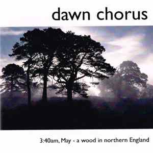 Geoff Sample - Dawn Chorus: 3:40am, May - A Wood In Northern England mp3
