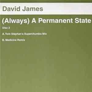David James - (Always) A Permanent State (Disc Two) mp3