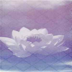 Steve Hauschildt - Resplendent mp3