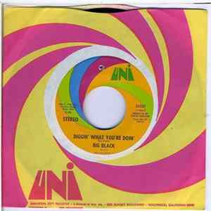 Big Black - Diggin' What You're Doin' / Mellow mp3