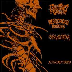 Disgorged Faeces / Death Before Revolution / Skverna - Anabiosis mp3