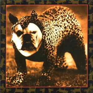 Shifty Sheriffs - Cannibal Animal mp3