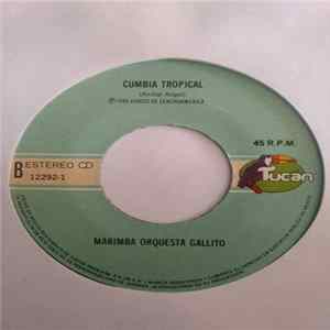 Marimba Orquesta Gallito - Cumbia Tropical/ Préstame A Tu Mujer mp3