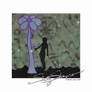 Sally Shapiro - What Can I Do mp3