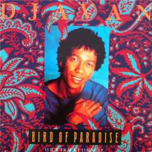 Djavan - Bird Of Paradise mp3