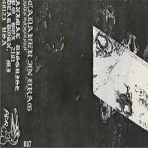 Cadaver In Drag - Full Of Hatred mp3
