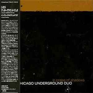Chicago Underground Duo - In Praise Of Shadows mp3