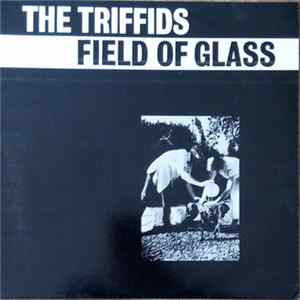 The Triffids - Field Of Glass mp3