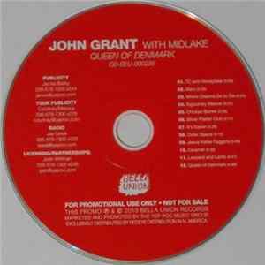 John Grant With Midlake - Queen Of Denmark mp3