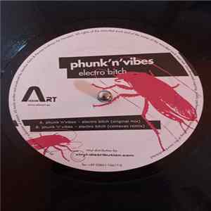 Phunk`N`Vibes - Electro Bitch mp3